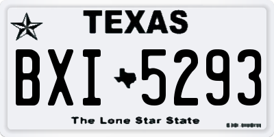 TX license plate BXI5293
