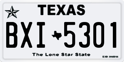 TX license plate BXI5301
