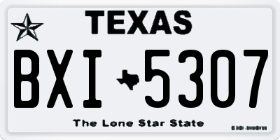 TX license plate BXI5307