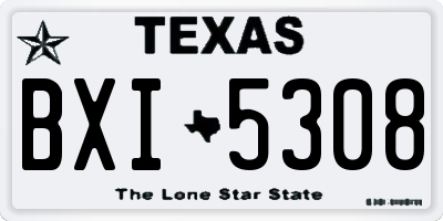 TX license plate BXI5308