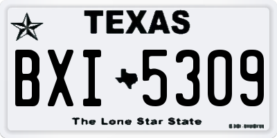 TX license plate BXI5309