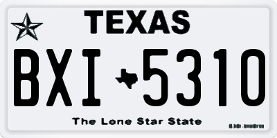 TX license plate BXI5310