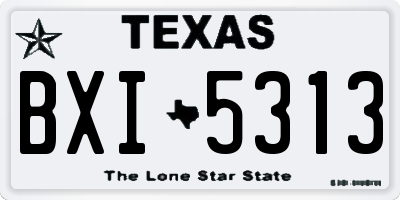 TX license plate BXI5313