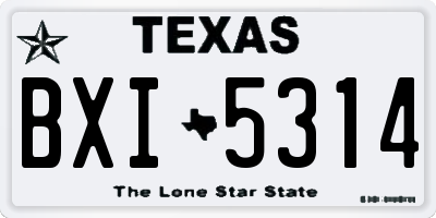 TX license plate BXI5314