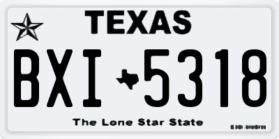 TX license plate BXI5318