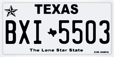 TX license plate BXI5503