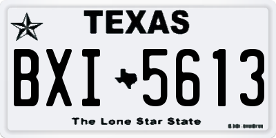 TX license plate BXI5613