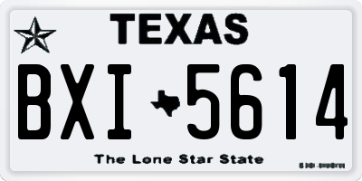 TX license plate BXI5614
