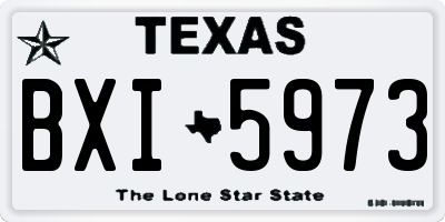 TX license plate BXI5973