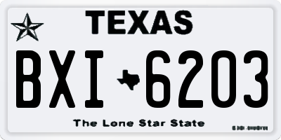 TX license plate BXI6203