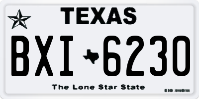 TX license plate BXI6230