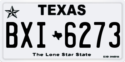 TX license plate BXI6273