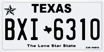 TX license plate BXI6310