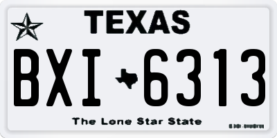TX license plate BXI6313