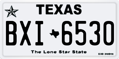 TX license plate BXI6530