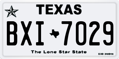 TX license plate BXI7029