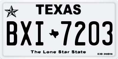 TX license plate BXI7203