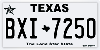 TX license plate BXI7250