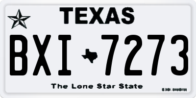 TX license plate BXI7273