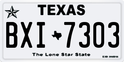 TX license plate BXI7303