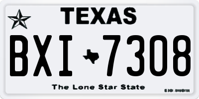 TX license plate BXI7308