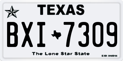 TX license plate BXI7309
