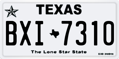 TX license plate BXI7310