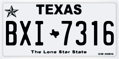 TX license plate BXI7316