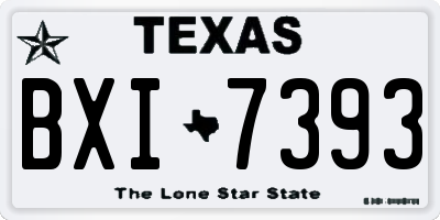 TX license plate BXI7393
