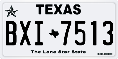 TX license plate BXI7513