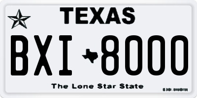 TX license plate BXI8000