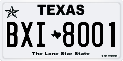 TX license plate BXI8001