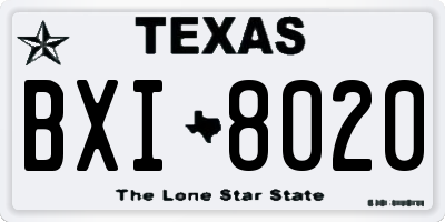 TX license plate BXI8020