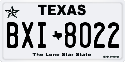 TX license plate BXI8022