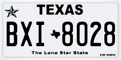 TX license plate BXI8028