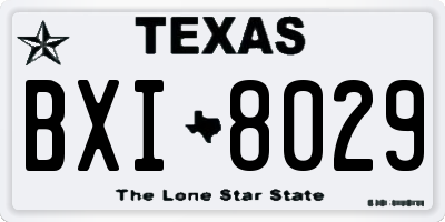TX license plate BXI8029