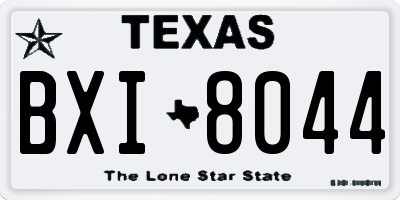 TX license plate BXI8044