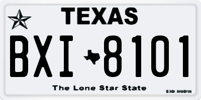 TX license plate BXI8101