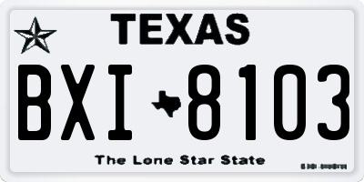 TX license plate BXI8103