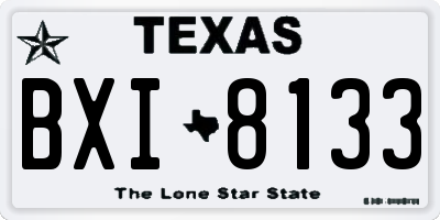 TX license plate BXI8133