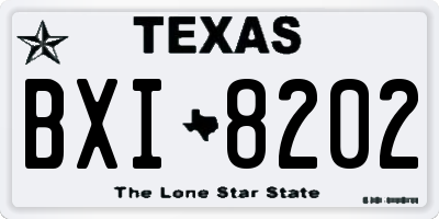 TX license plate BXI8202