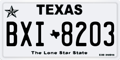 TX license plate BXI8203