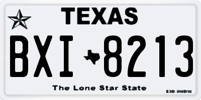 TX license plate BXI8213