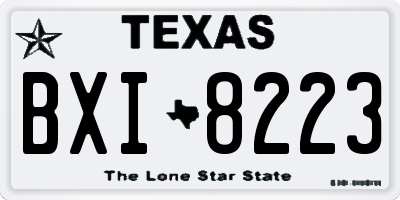 TX license plate BXI8223