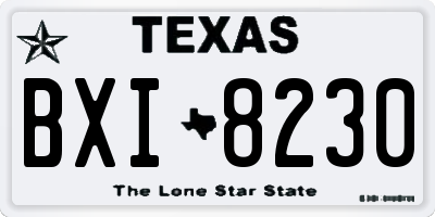 TX license plate BXI8230