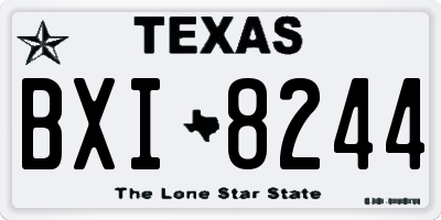 TX license plate BXI8244