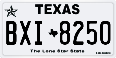 TX license plate BXI8250