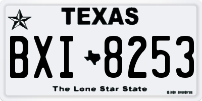 TX license plate BXI8253
