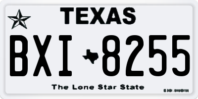 TX license plate BXI8255