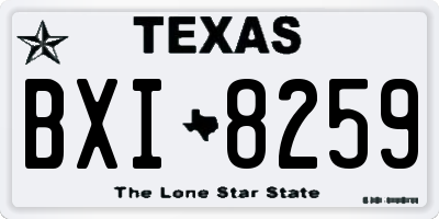 TX license plate BXI8259